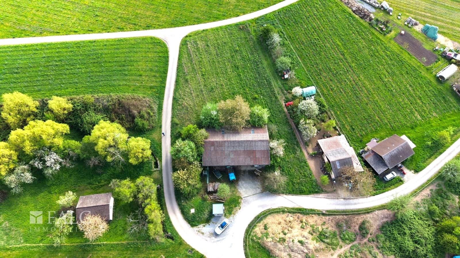 Großzügiges Grundstück