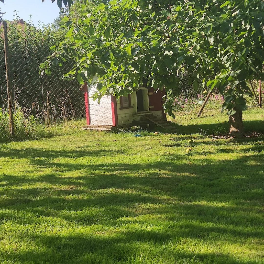 Garten mit Kükenhaus
