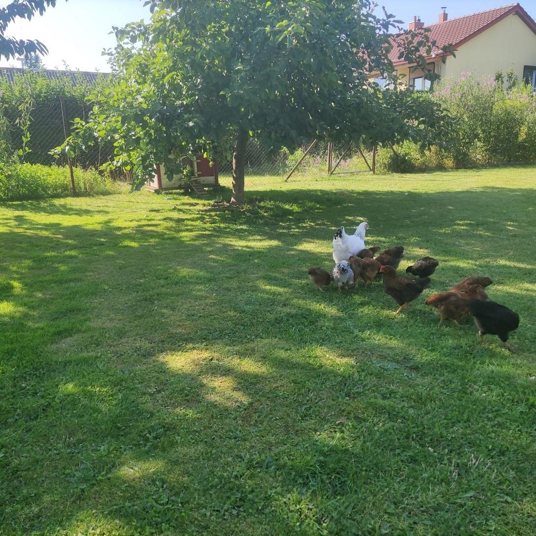 Garten