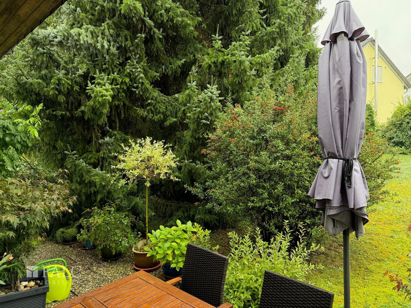 Blick in Garten