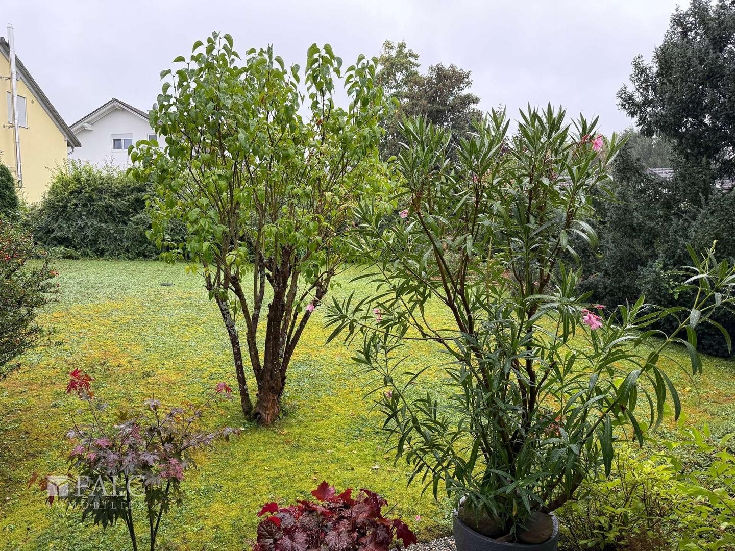 Blick in Garten