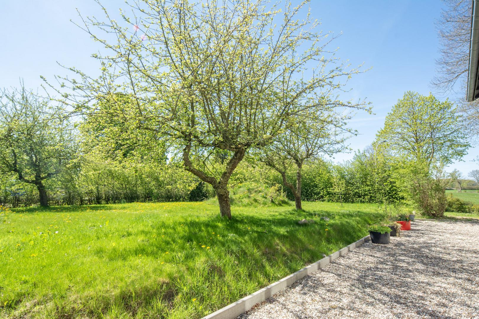 Obstgarten