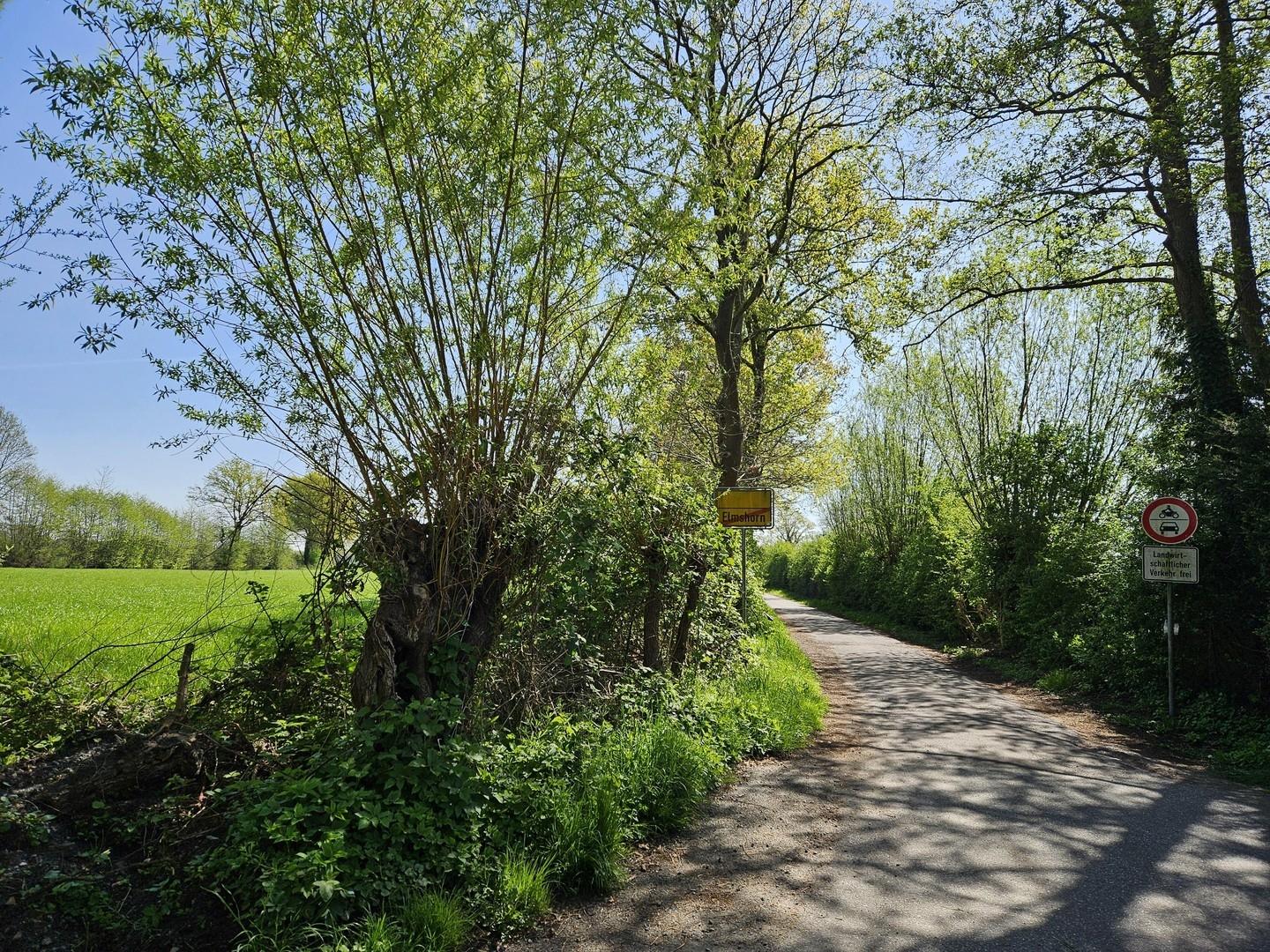 Natur direkt vor der Tür