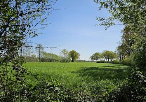 Liether Moor