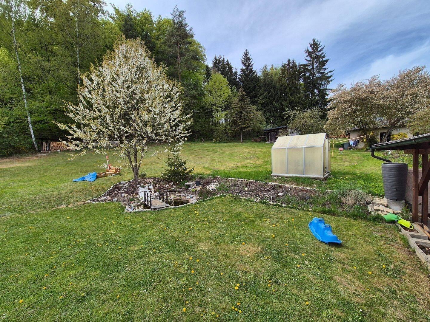 Gartenblick 1