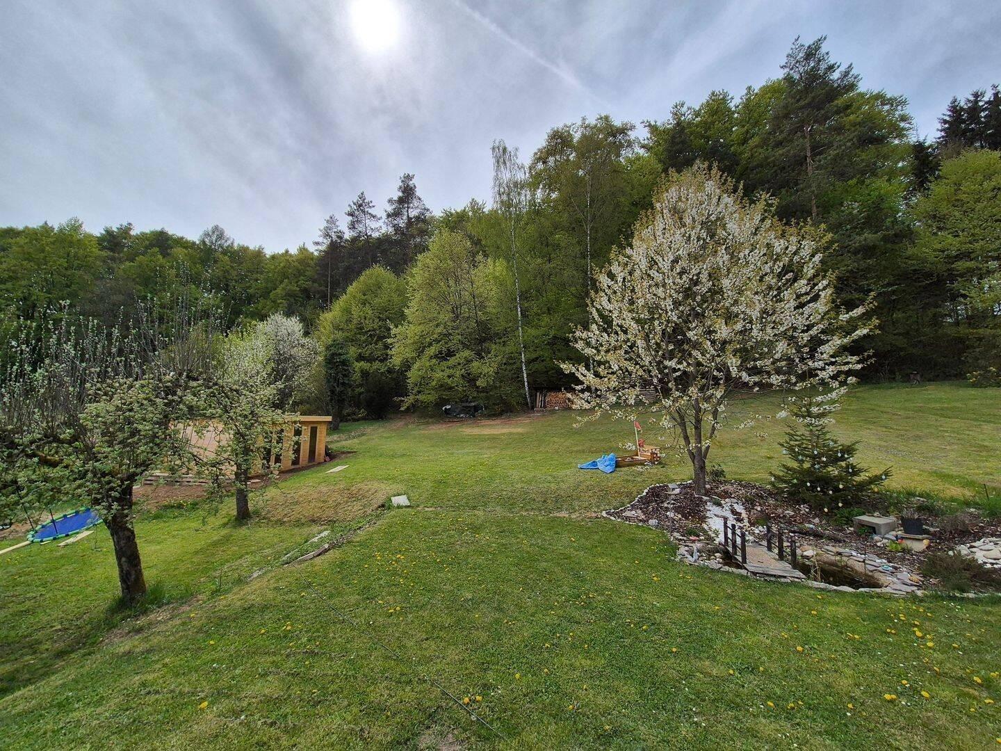 Gartenblick 2