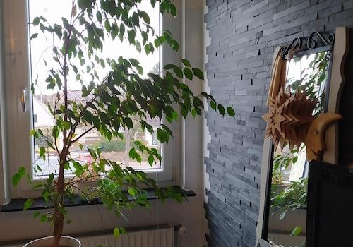 Zimmer Flur hinten eingerichte