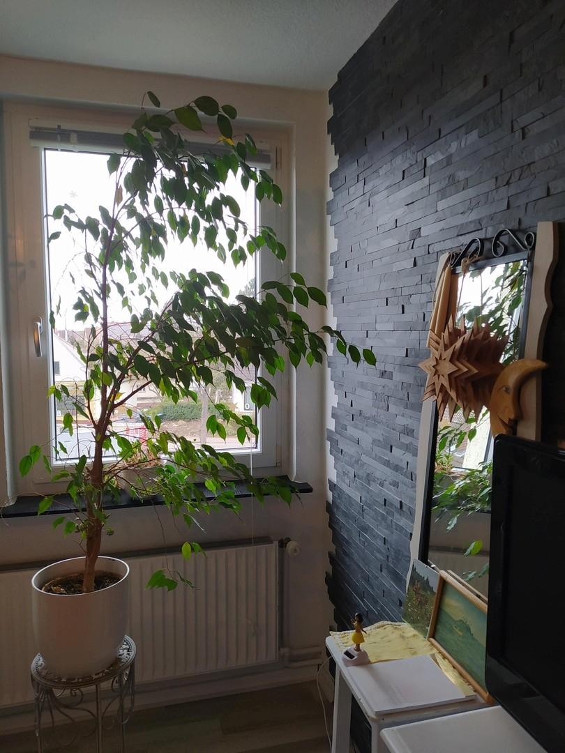 Zimmer Flur hinten eingerichte