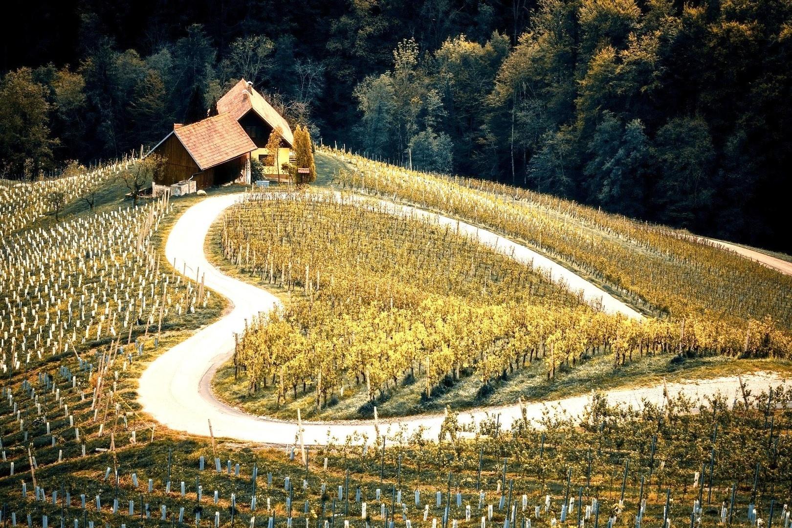 Idylle trifft Wohnkomfort