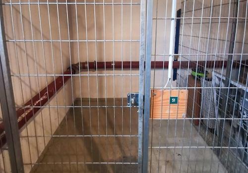 Keller zur Wohnung