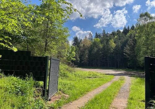 Holz/Forst/Lager