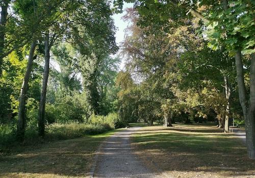 Park in unmittelbarer Nähe