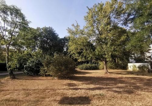 Park in unmittelbarer Nähe