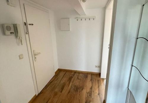 Diele - Eingangstür u. Wohnzimmer