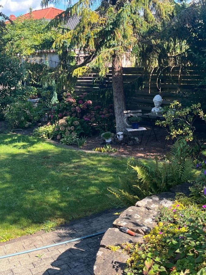 Garten Blick rechte Seite
