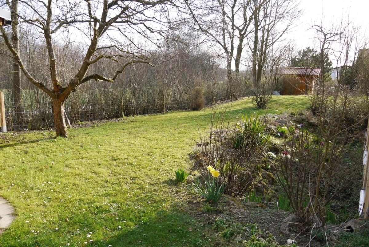 Blick in den Garten