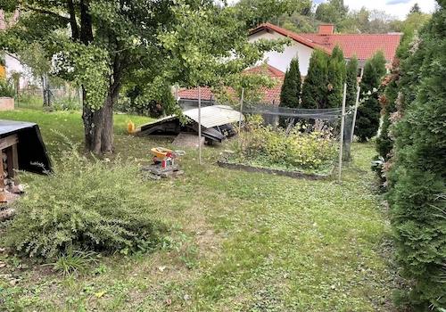 Beerensträucher, Holzlager, Gi