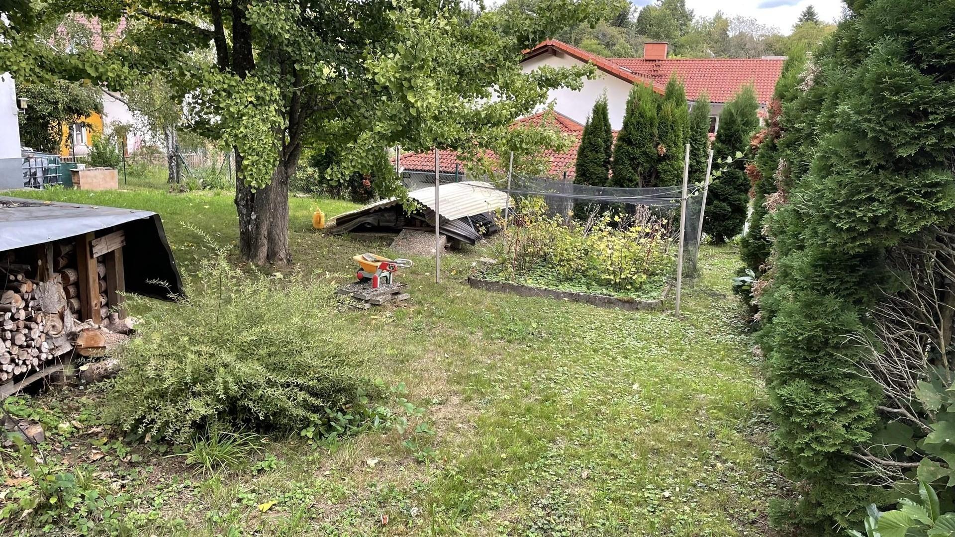 Beerensträucher, Holzlager, Gi