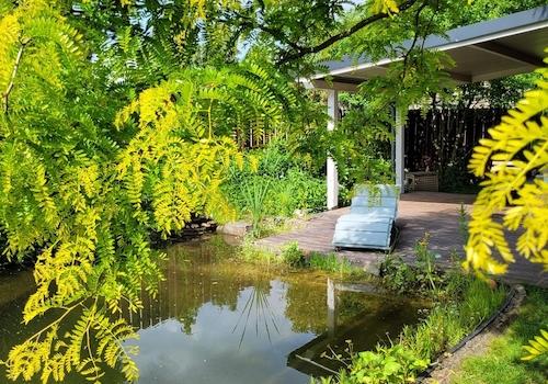 Schwimmteich mit Terrasse