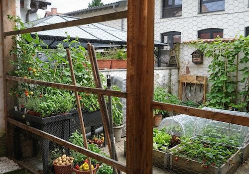 08.1_Garten