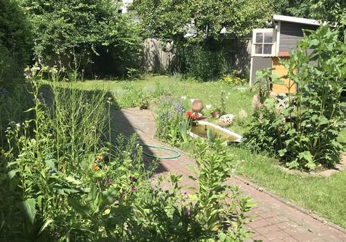 Garten  