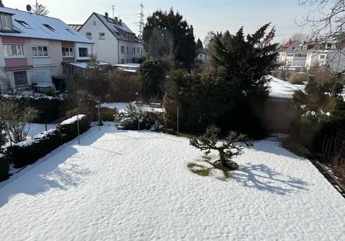 Garten im Winter