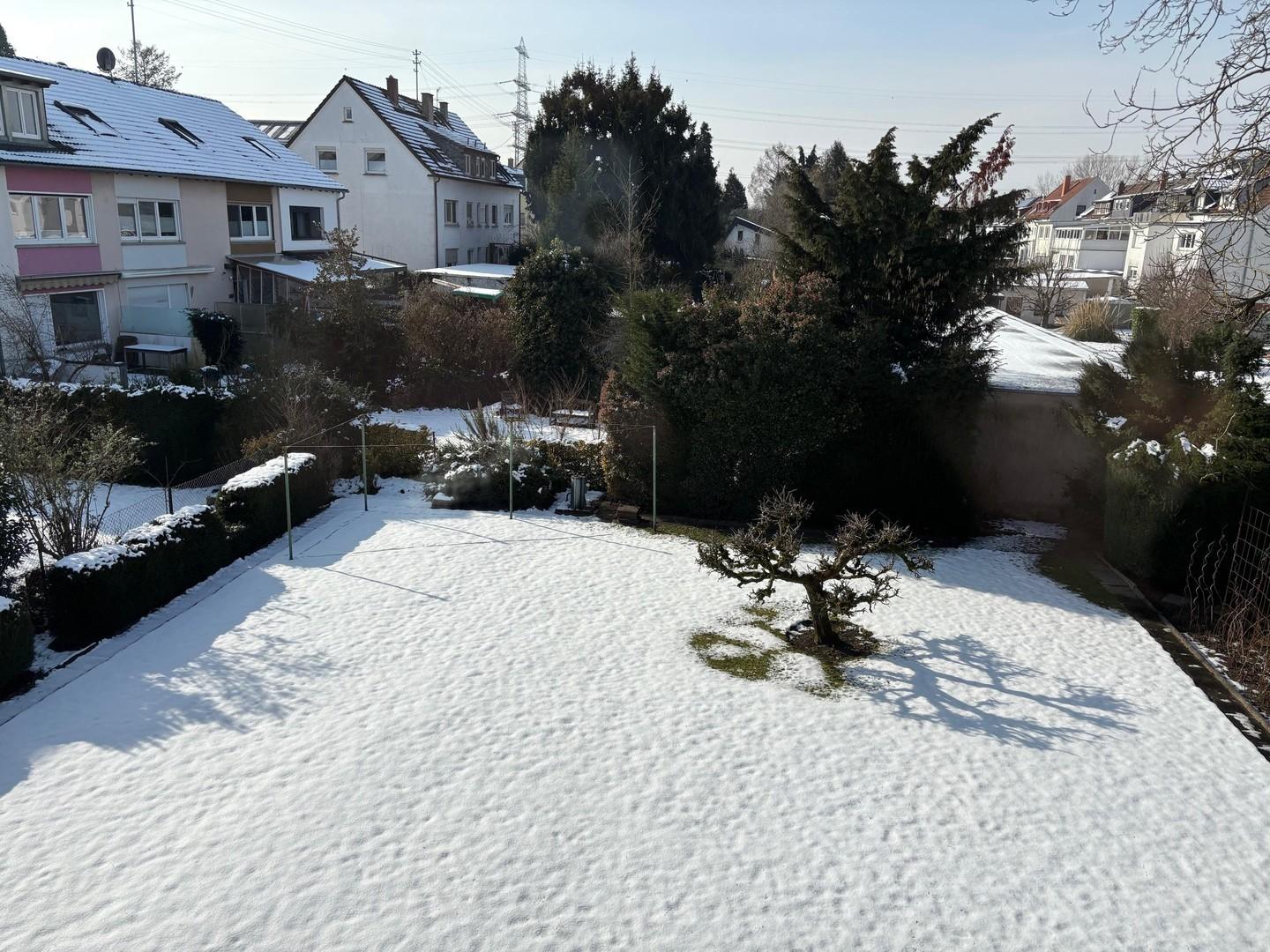 Garten im Winter