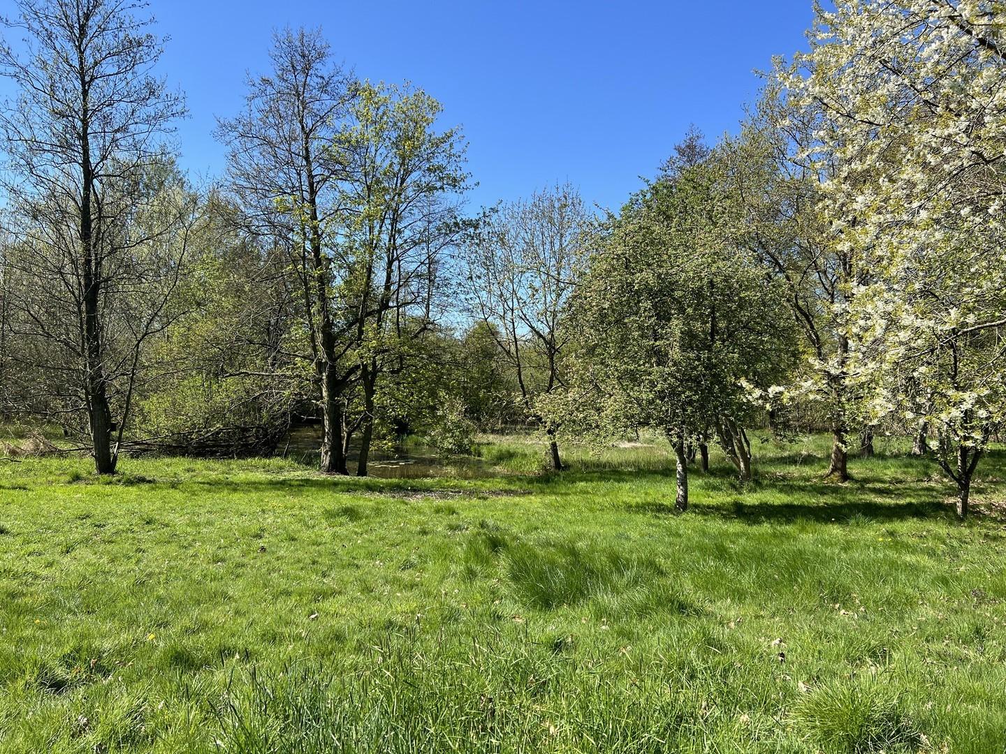 1. Mai 2026