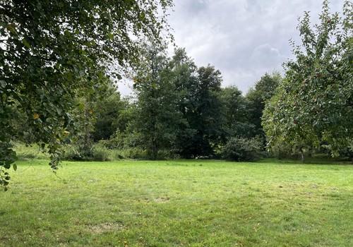 Garten Baugrund