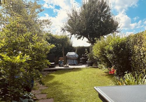 Garten im Sommer