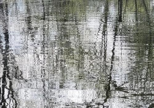 Einer der Teiche
