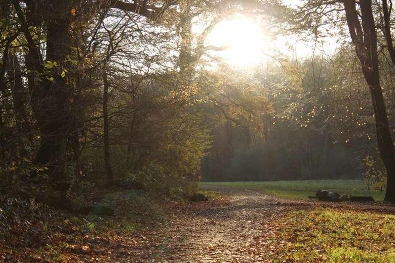 Jenischpark