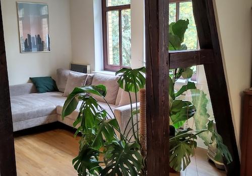 offene Zimmer 1 OG