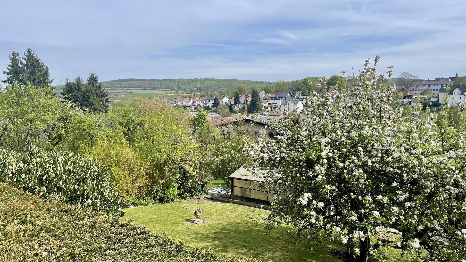 Blick ins Grüne