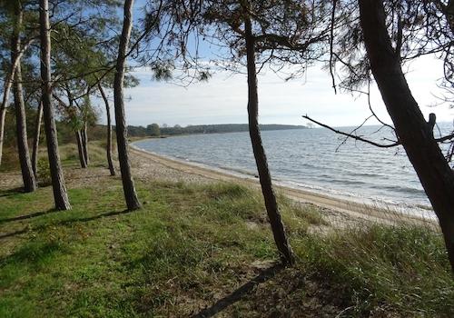 Hausstrand Palmer Ort