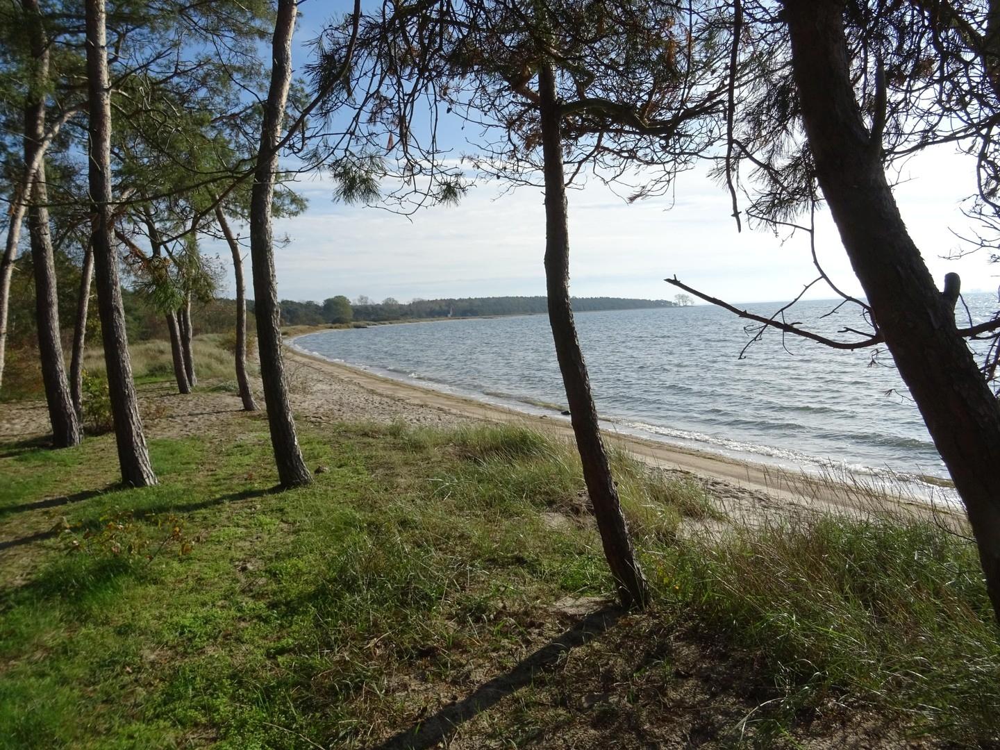 Hausstrand Palmer Ort