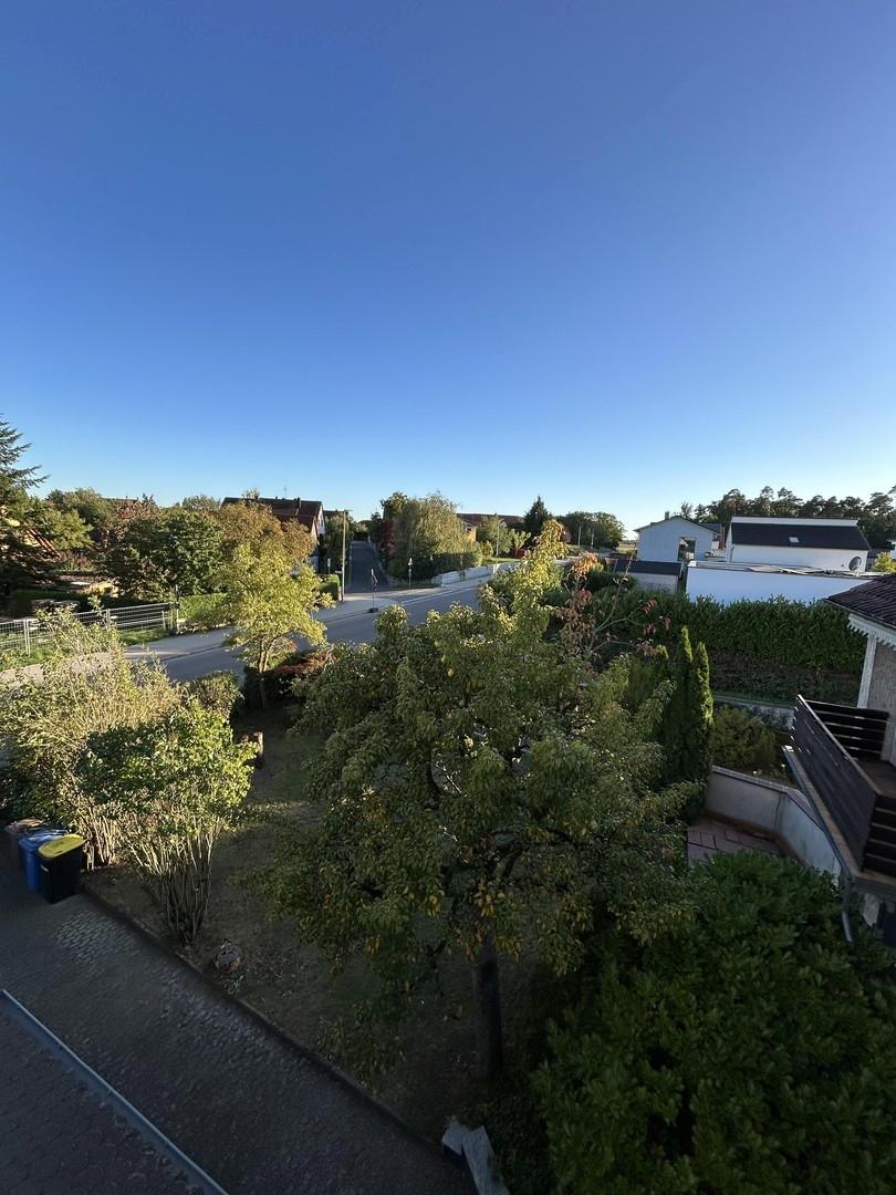 Garten vorne