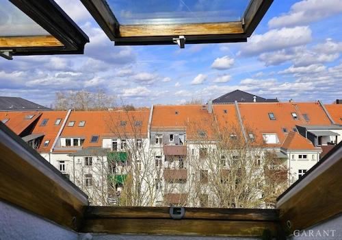 19 Nordblick