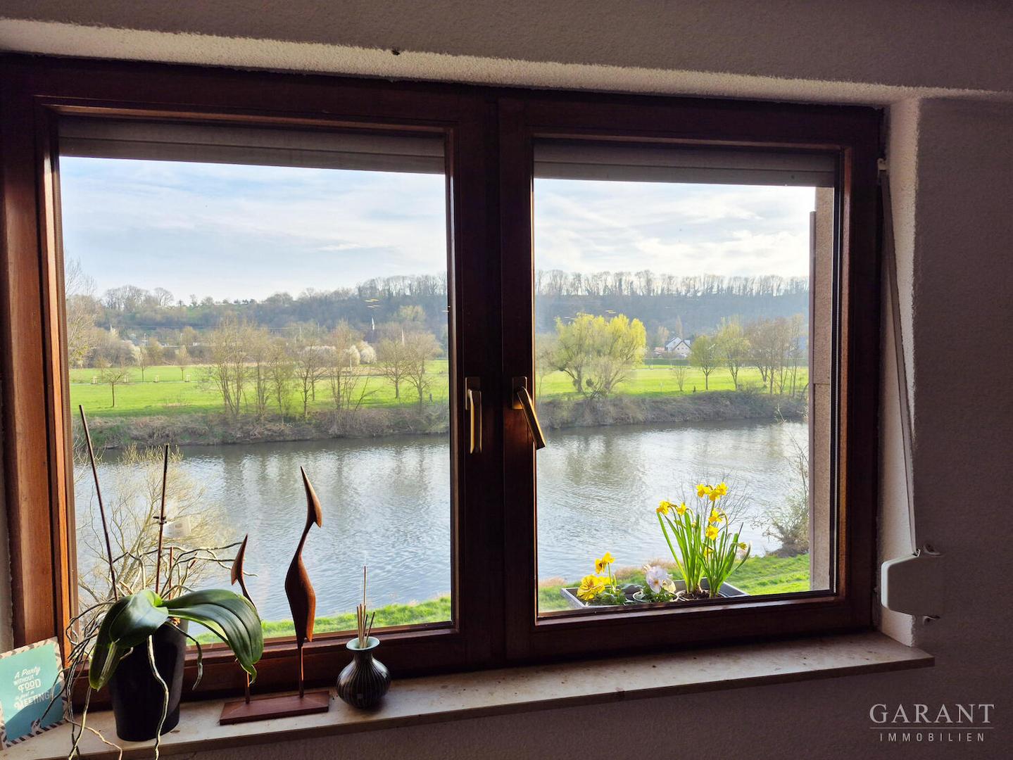 Blick vom Esszimmer