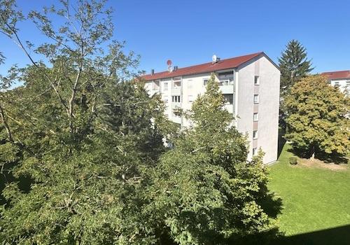 Ausblick