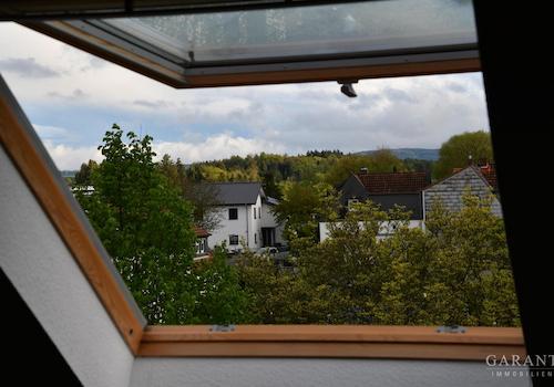 07 Odenwaldblick aus Daschstudio