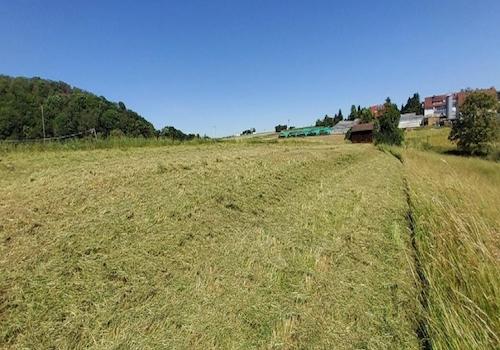 Wiese mit Schuppen