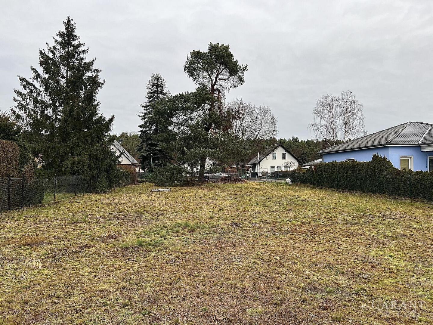 Blick zur Straße