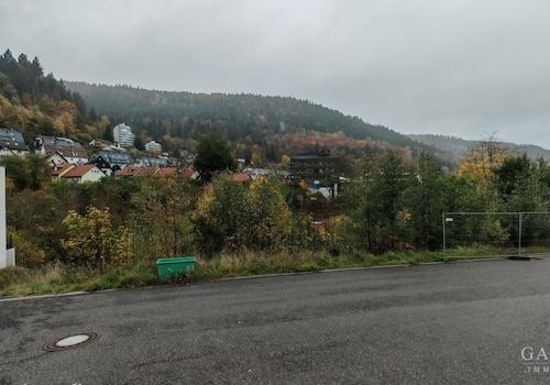 IMG 20251022 152838
