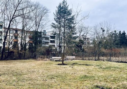 Großer Gemeinschaftsgarten