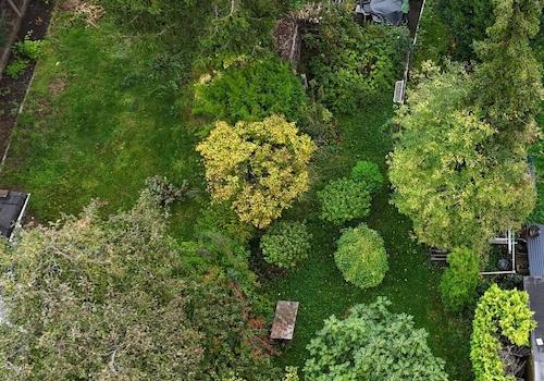 Garten Draufsicht