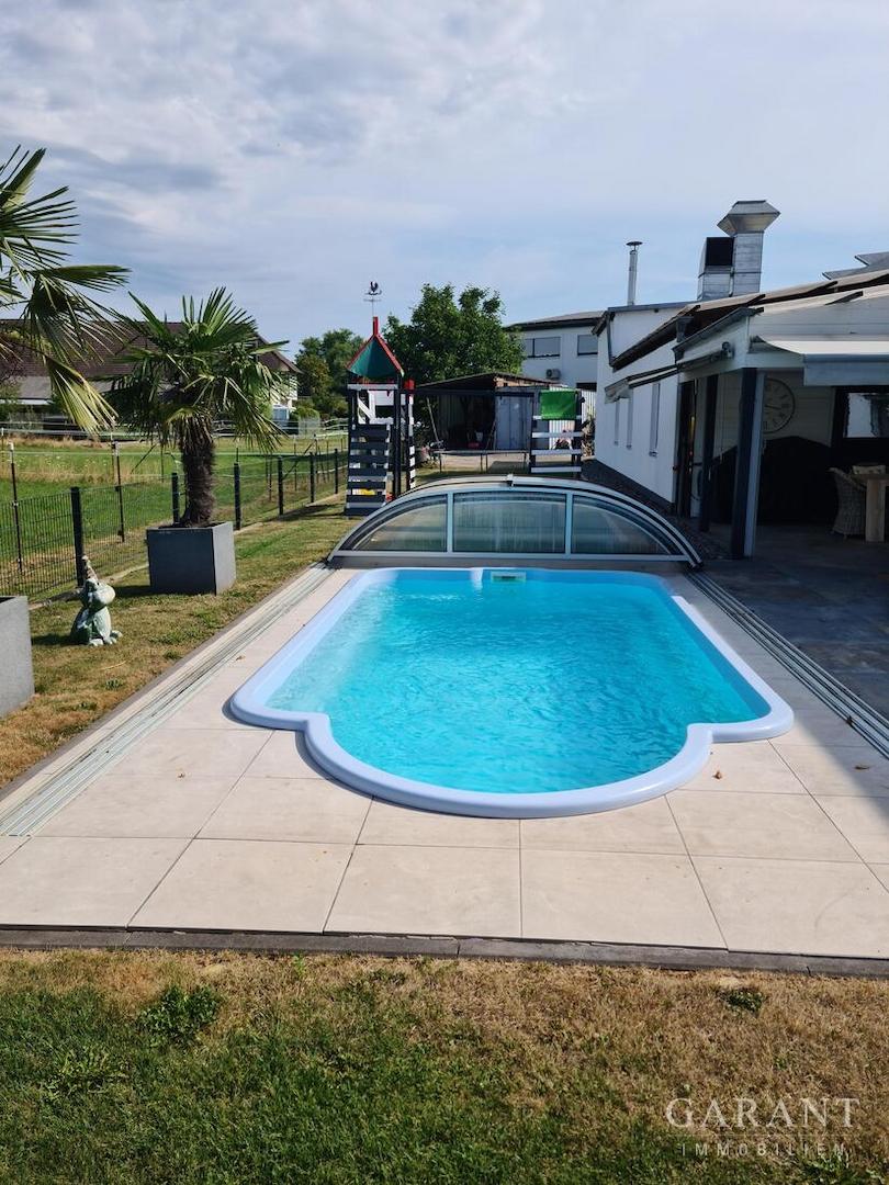 Swim Spa