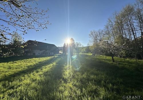 Wiesengrundstück