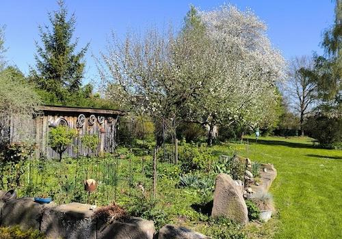 Gartenimmpression 1