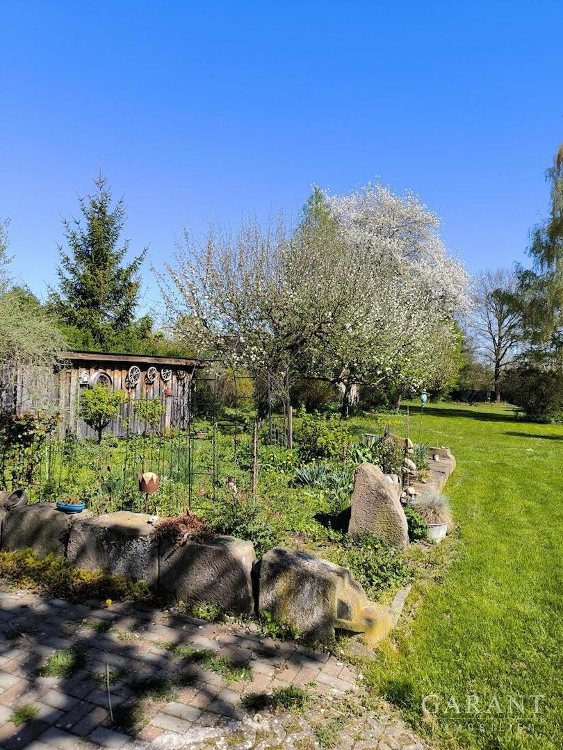 Gartenimmpression 1